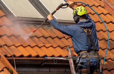 Démoussage et hydrofuge de toiture à Biard
